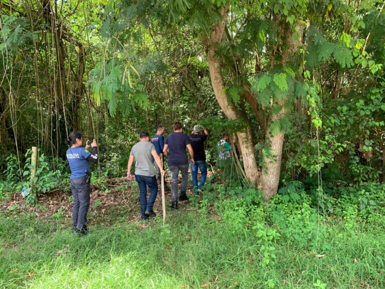 Polícia usa drones com tecnologia de radar para buscar ossada de mulher desaparecida em Jacareí