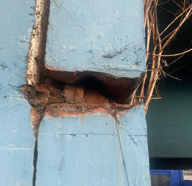 Estrutura do Viaduto Jandyra Moquenco preocupa especialista: “falta de manutenção”