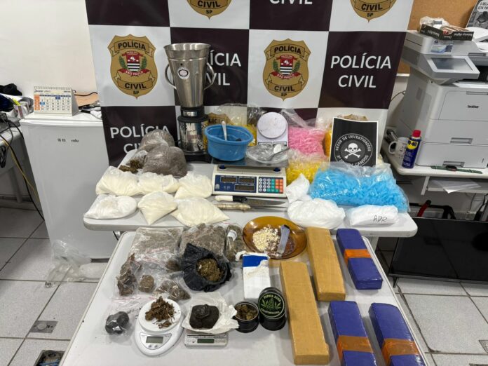 Polícia Civil usa drones para cercar criminosos e apreende 12 kg de drogas na zona sul de São José Polícia Civil usa drones para cercar criminosos e apreende 12 kg de drogas na zona sul de São José