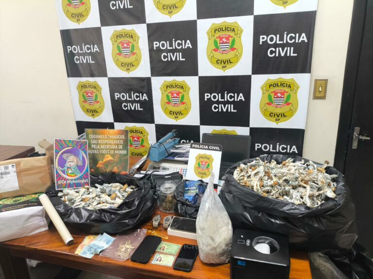 Foto: Polícia Civil