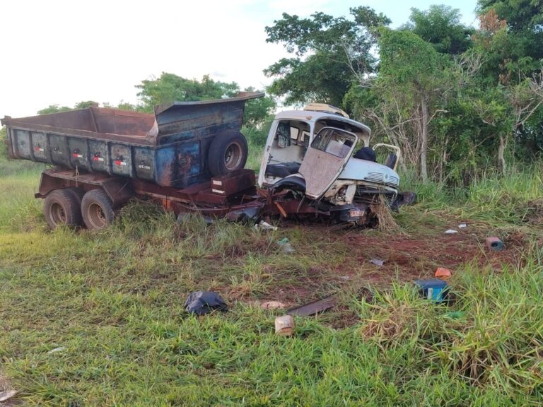 Motorista e passageiro morrem após acidente e ataque de abelhas