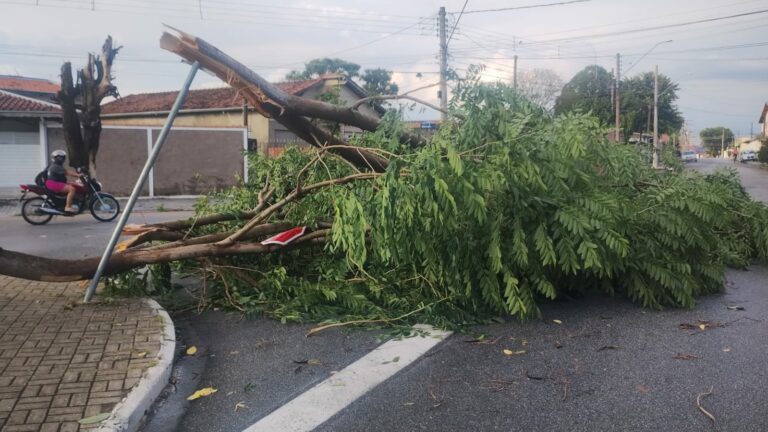 Chuvas fortes causam estragos na região; veja as ocorrências