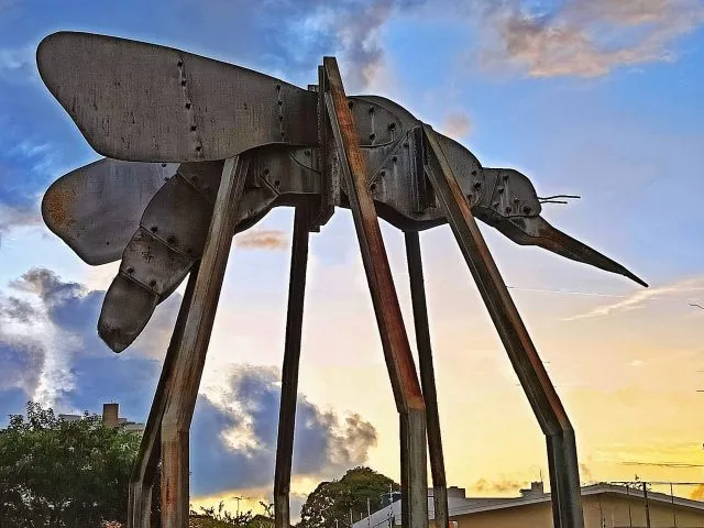 A mostra reúne trabalhos de 30 fotógrafos e segue aberta para visitação até o dia 27 de fevereiro. O evento é promovido pela Prefeitura