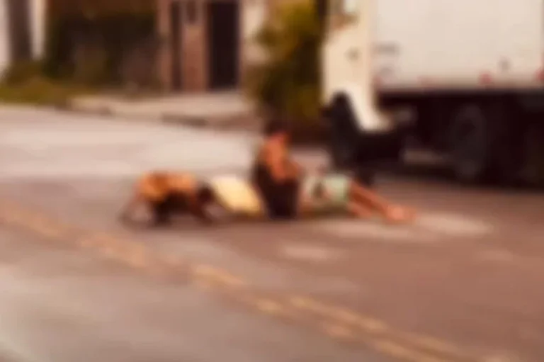 Ex-lutador salva pinscher de ataque ao aplicar mata-leão em pit bull; VÍDEO