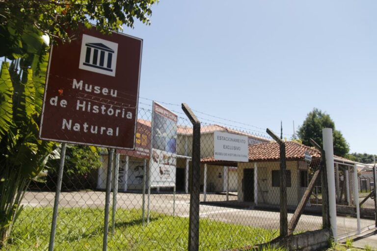Museu de História Natural de Taubaté promove evento gratuito para observação de Júpiter