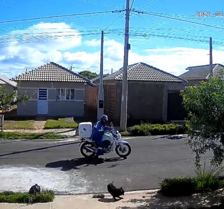 Funcionário de concessionária é filmado agredindo cachorro em Araçatuba