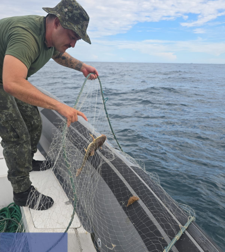 Pesca ilegal é flagrada em Guarujá e espécies marinhas foram resgatadas; confira