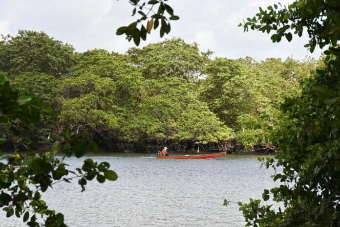 A Prefeitura integra a obra ao plano de requalificação do Centro. O objetivo é ampliar a acessibilidade e organizar os espaços públicos