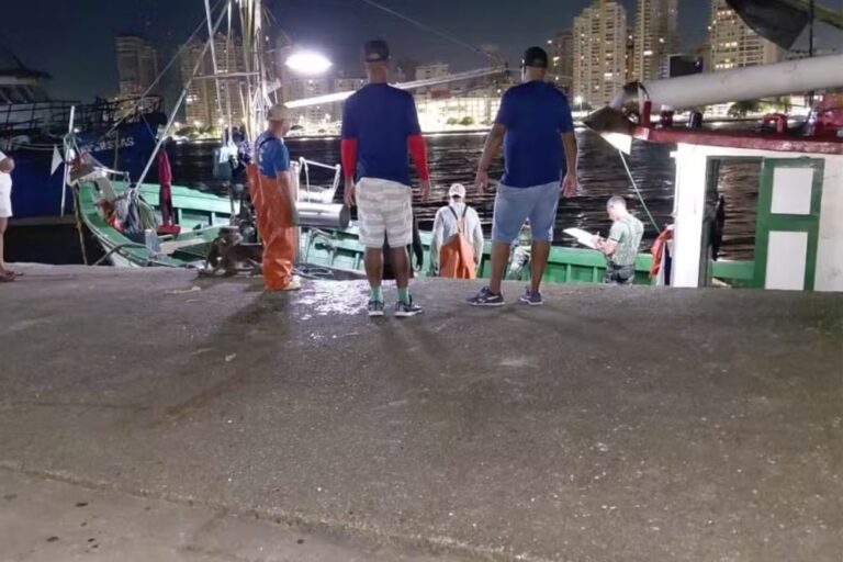 Pescadores são multados em R$ 703 mil por rede maior que o permitido em cidade do litoral de SP