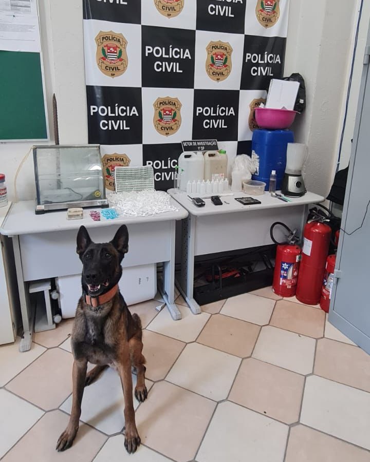 Polícia desmantela “casa bomba” na favela do Pantanal, em Santos; homem é preso