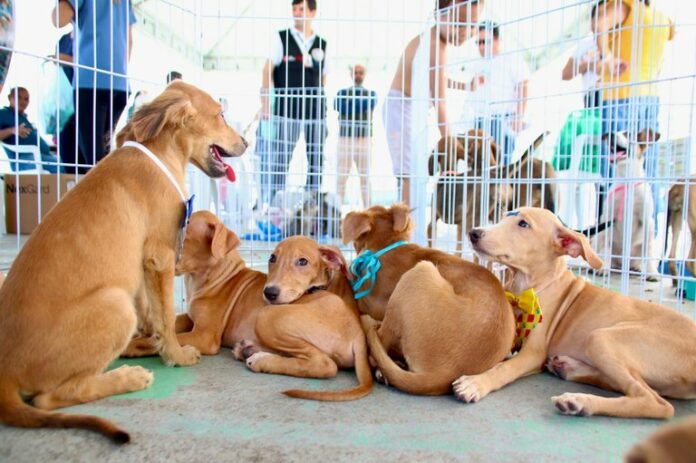 2150db5b-37b2-4de6-9ce6-e716a2df16f8