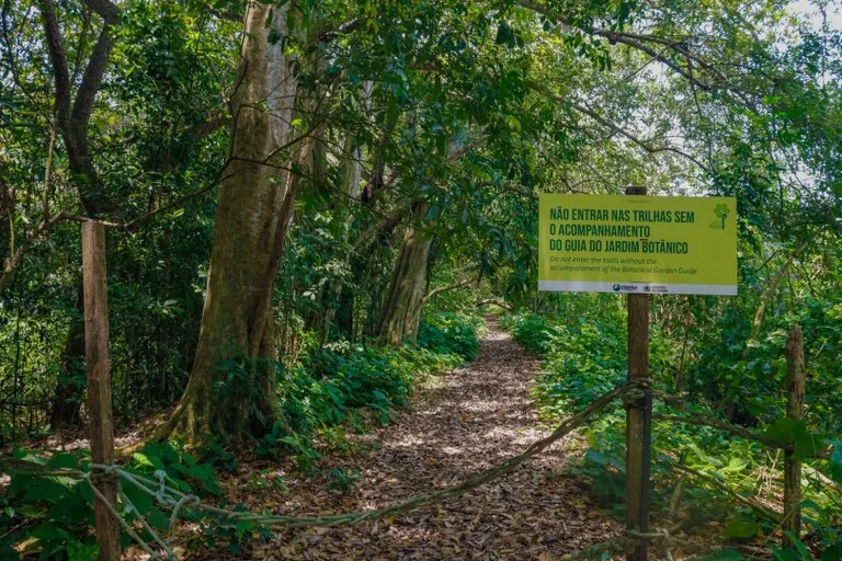 Festa das Árvores 2026 tem programação aberta ao público neste sábado (28) em João Pessoa