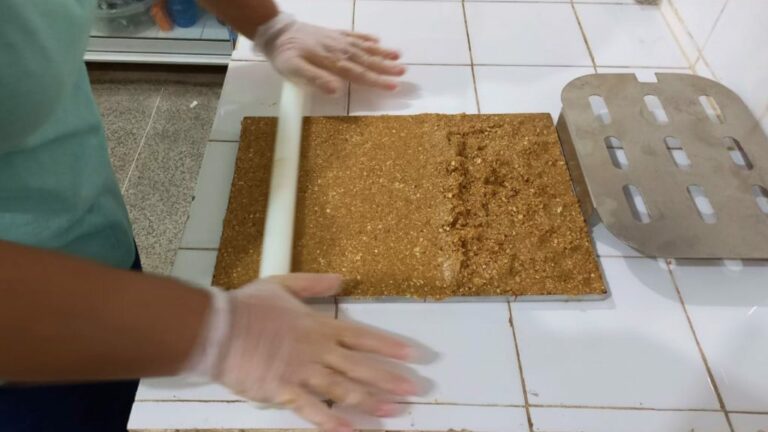 UFPB desenvolve barra alimentícia com mais proteína e custo menor que industrializada