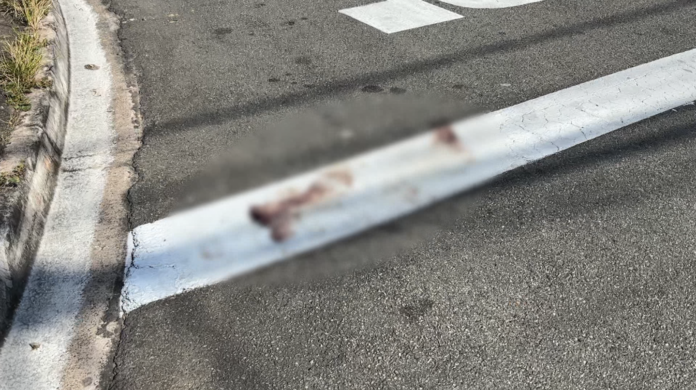 Briga entre irmãos termina com um deles esfaqueado duas vezes Briga entre irmãos termina com um deles esfaqueado duas vezes