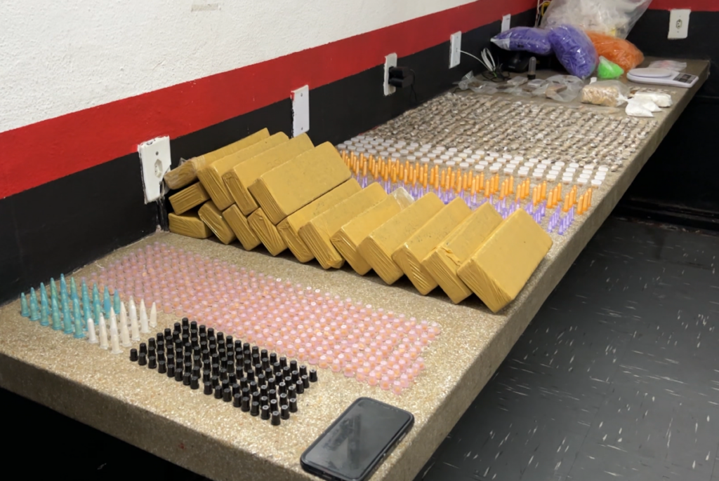 Polícia apreende armas e drogas em casa na Vila Formosa