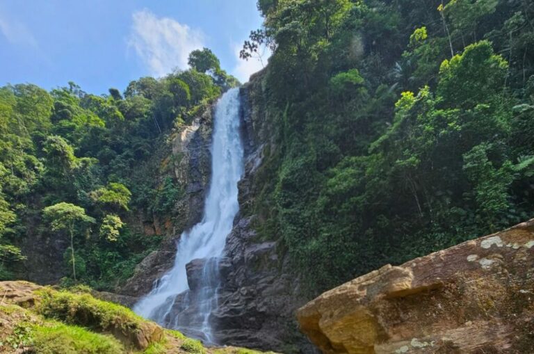 Cubatão é reconhecida novamente com selo internacional “Cidade Verde do Mundo”