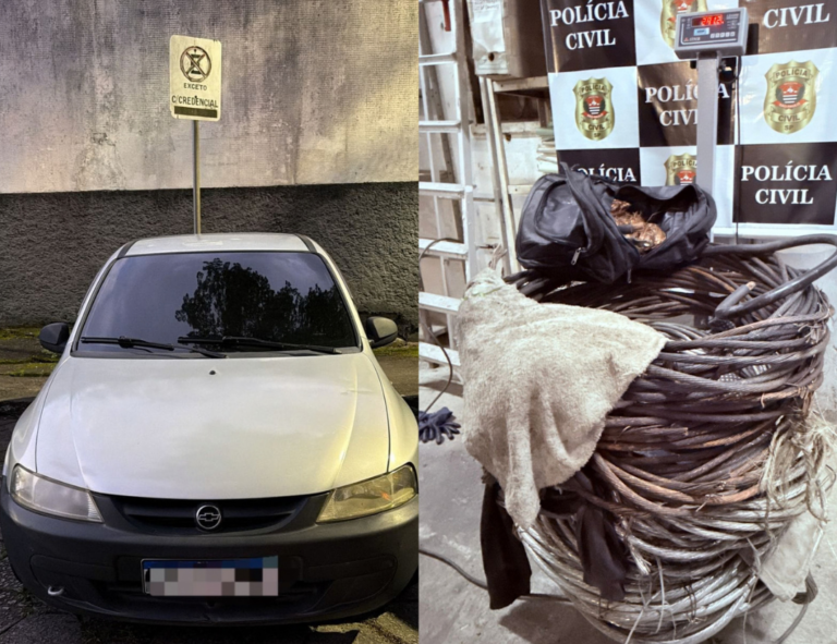 Quase 300 kg de cobre foram furtados de empresa siderúrgica em Cubatão; dupla foi presa