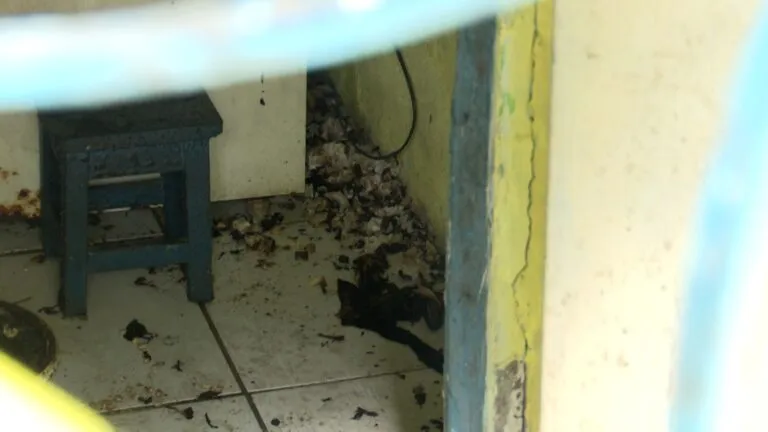 Explosão deixa idoso com 90% do corpo queimado no Rangel, em João Pessoa