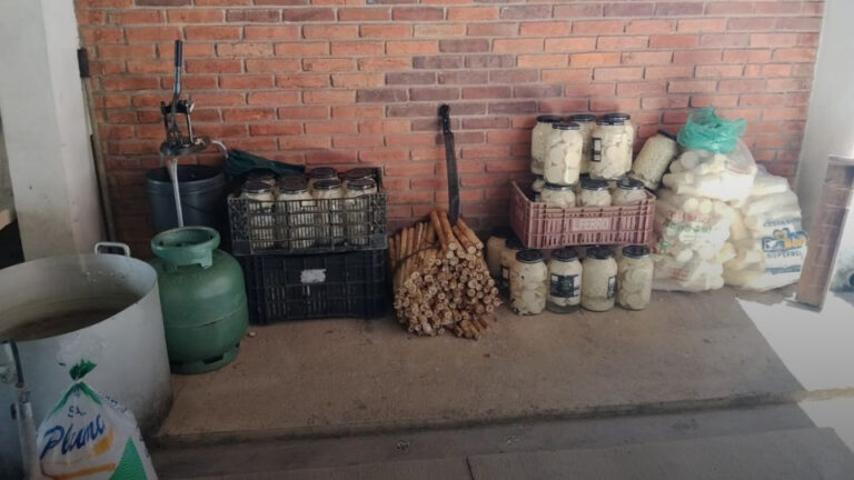 Fábrica clandestina de palmito é interditada pela Polícia Ambiental em Sete Barras