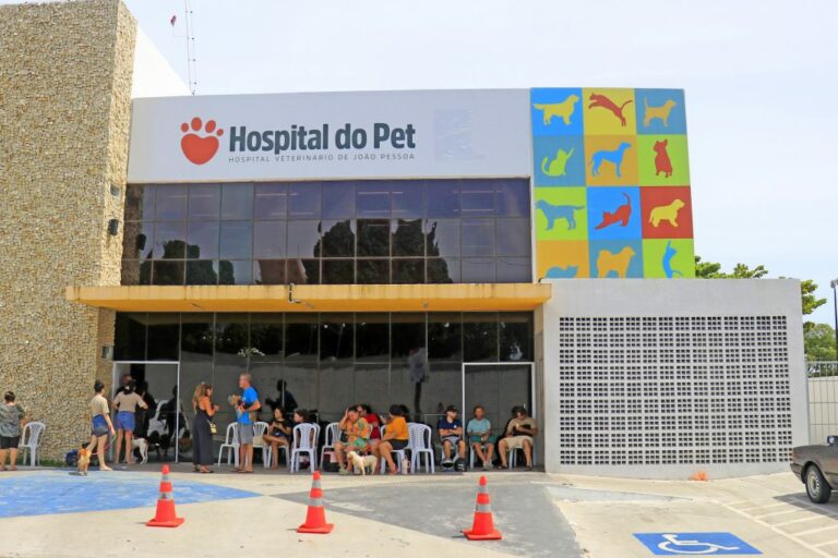 João Pessoa realiza Dia D da Causa Animal nesta terça-feira (31) com mutirão e inaugurações