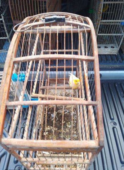 WhatsApp Image 2026-03-02 at 10.55.19