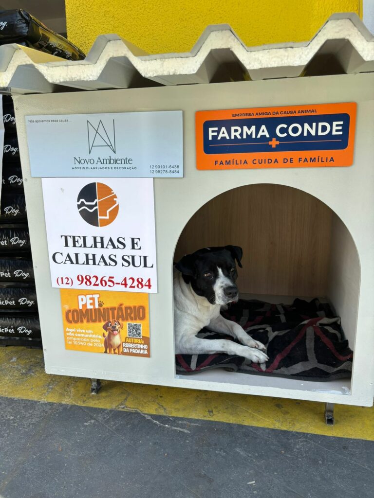 Projeto de proteção animal atinge marca de 1,2 mil casinhas entregues no estado de SP