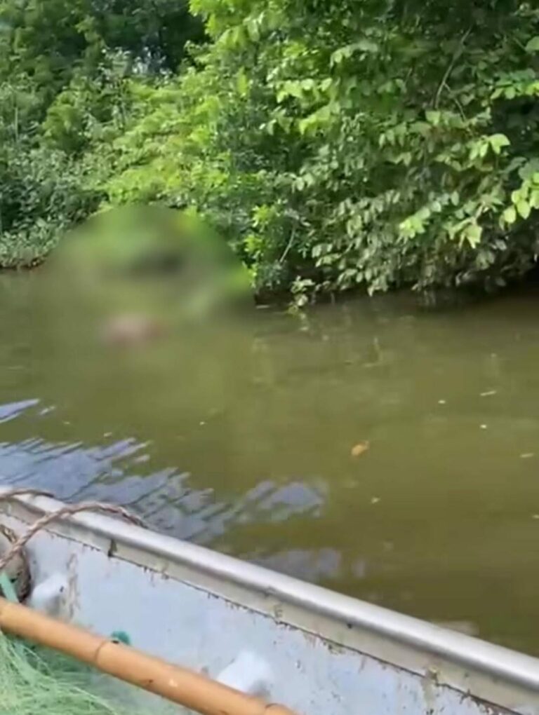 Corpo de homem é encontrado boiando no Rio Peruíbe