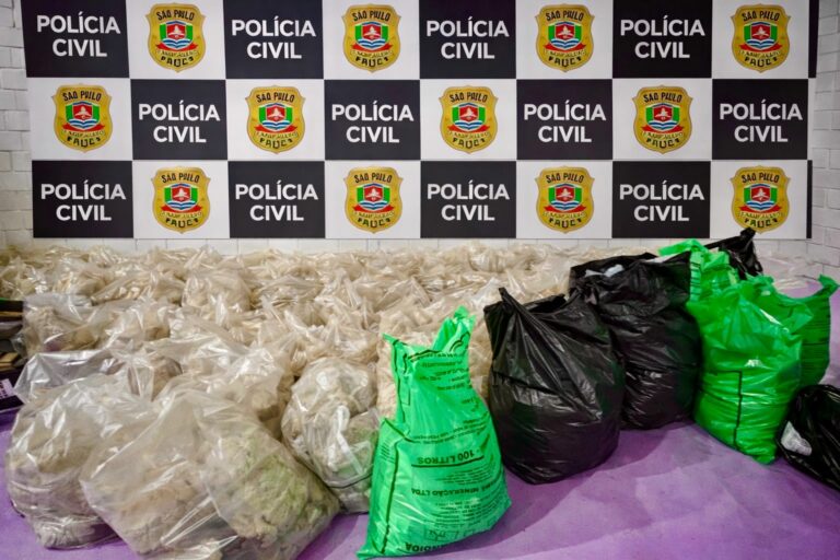 Polícia apreende plantas alucinógenas em casa alugada por criminosos em Ubatuba