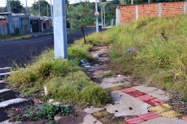 Prudente notifica proprietários para manter terrenos limpos