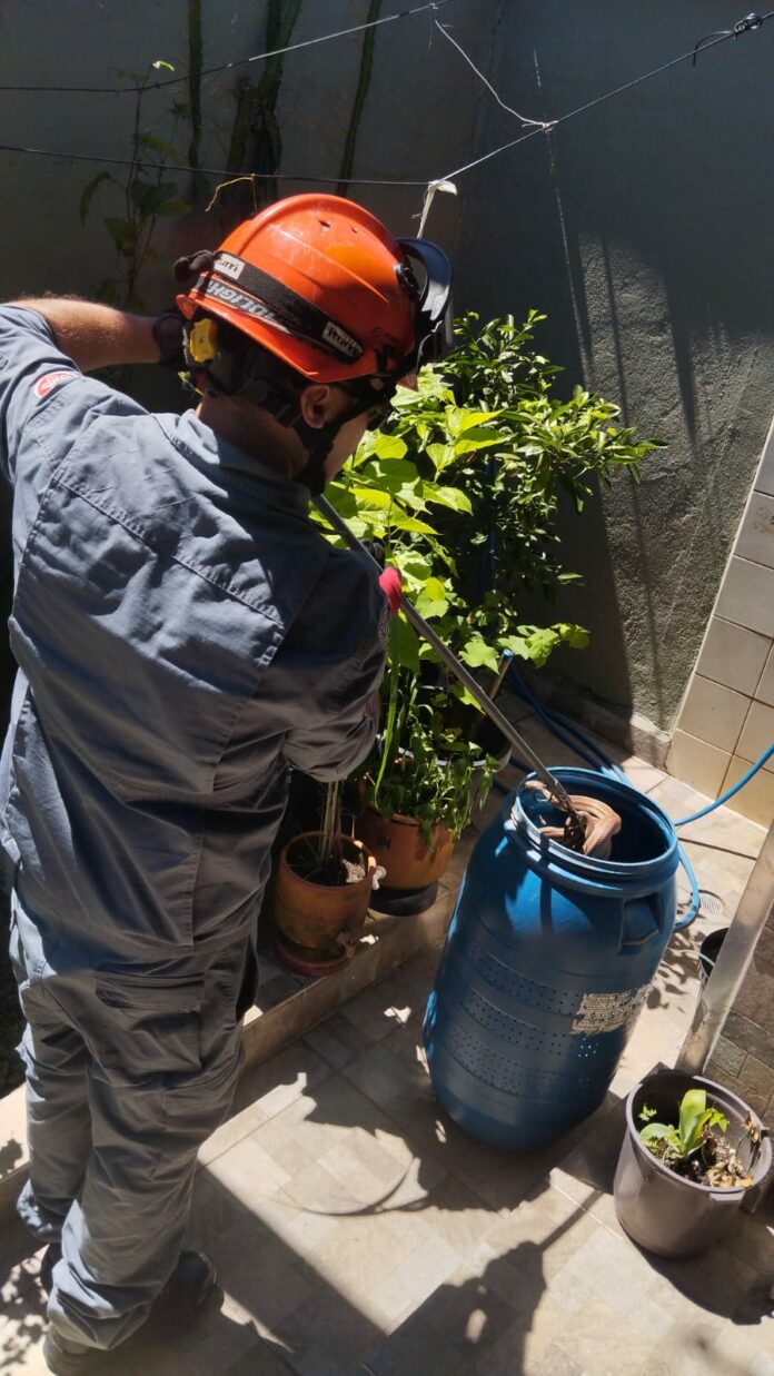 WhatsApp Image 2026-03-09 at 07.08.06