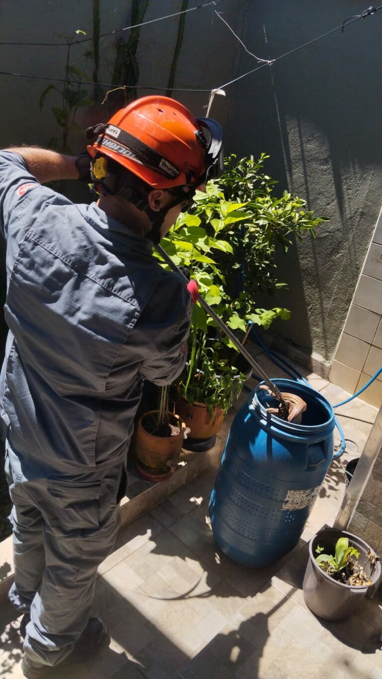 Bombeiros capturam cobra em residência, em Caraguatatuba