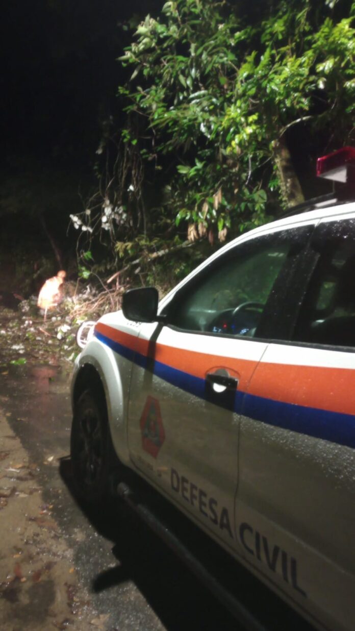 Chuva derruba árvore e bloqueia estrada em Ubatuba Chuva derruba árvore e bloqueia estrada em Ubatuba