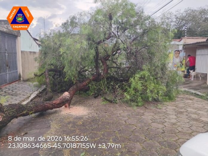 Chuva provoca quedas de árvores e mobiliza Defesa Civil em Caçapava Chuva provoca quedas de árvores e mobiliza Defesa Civil em Caçapava