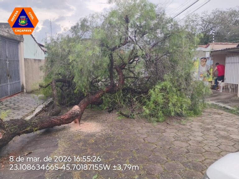 Chuva provoca quedas de árvores e mobiliza Defesa Civil em Caçapava