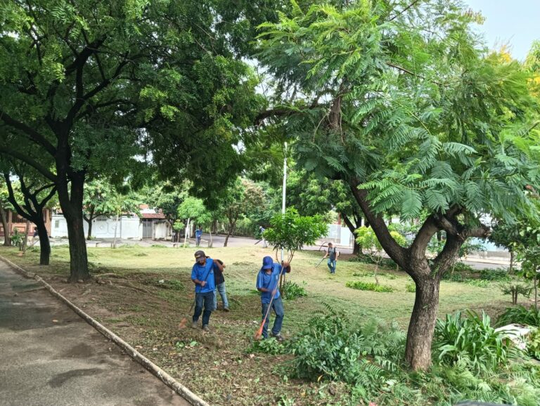 Equipes de limpeza e roçagem atuam em bairros de Araçatuba e contribuem no combate ao mosquito Aedes aegyti