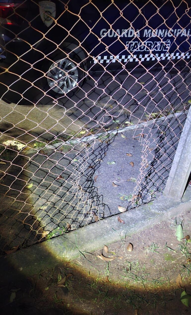 Homem é preso ao tentar furtar carne de escola municipal em Taubaté