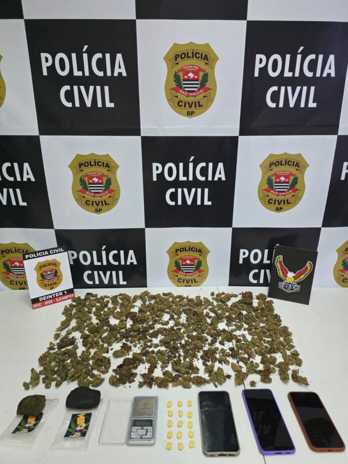 Polícia Civil apreende ecstasy e maconha escondidos dentro de sofá em São José