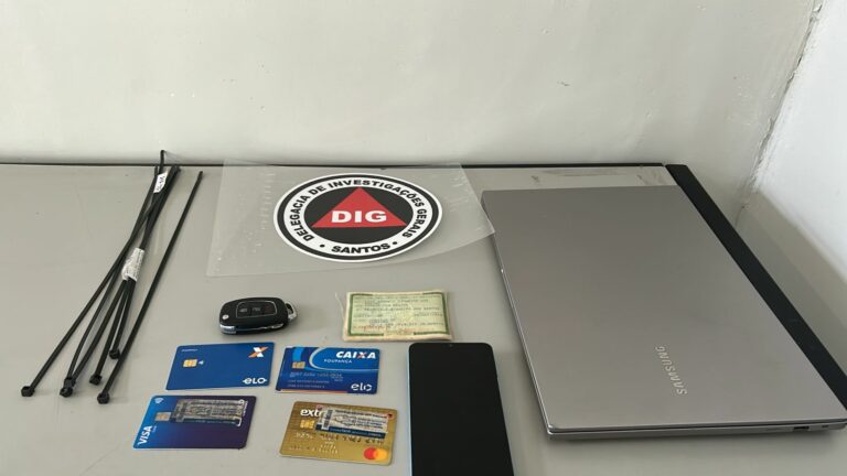 Operação contra rede de furto e roubo de cargas no Porto de Santos prende dois suspeitos na região