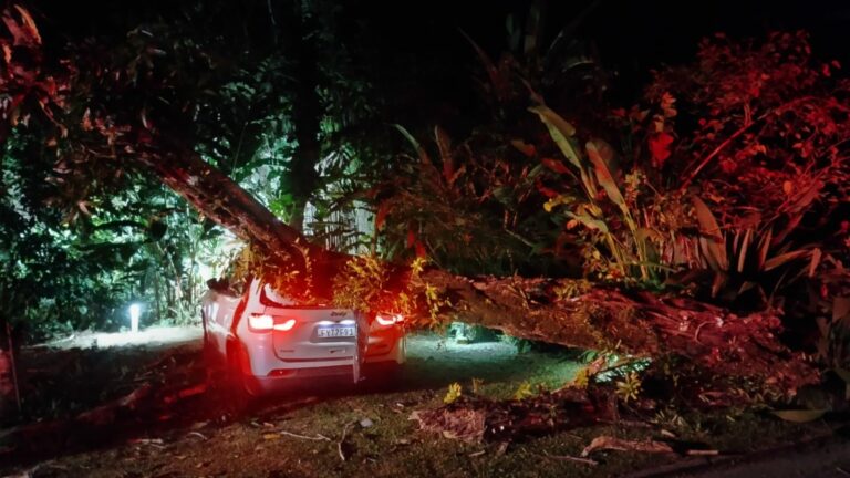 Queda de árvore atinge veículo no bairro Baleia, em São Sebastião