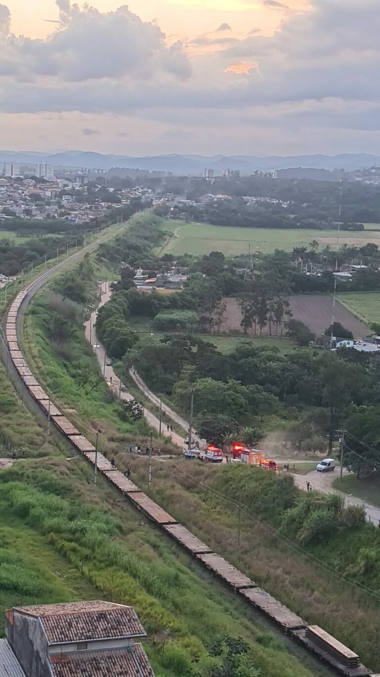 Mulher de 52 anos morre após ser atropelada por trem em São José