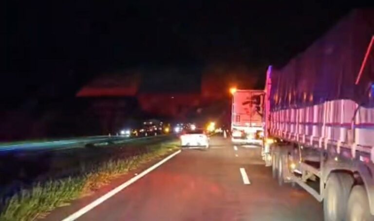 Acidente com bovinos soltos deixa motoristas feridos na Rondon