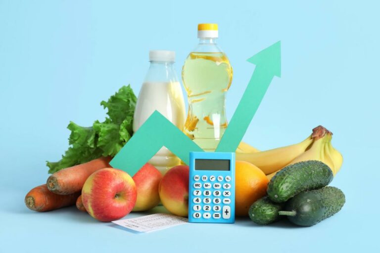 Adriana Rielo: “Organização e Economia”