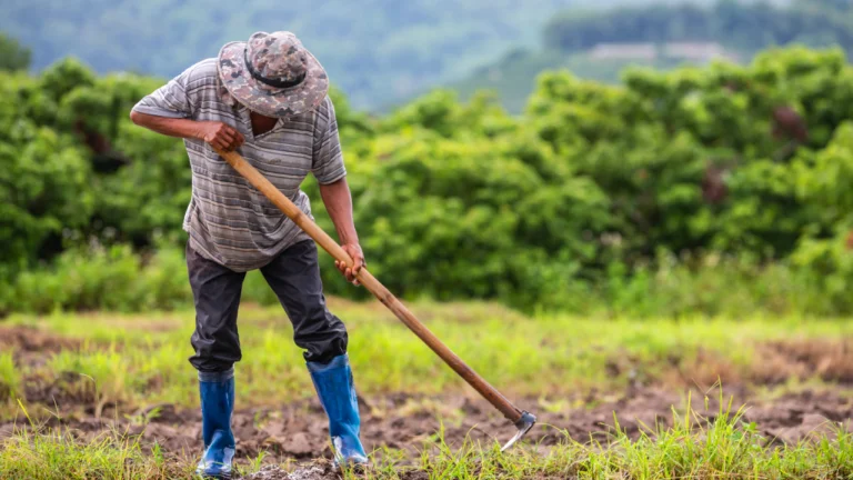 Aposentadoria rural por idade