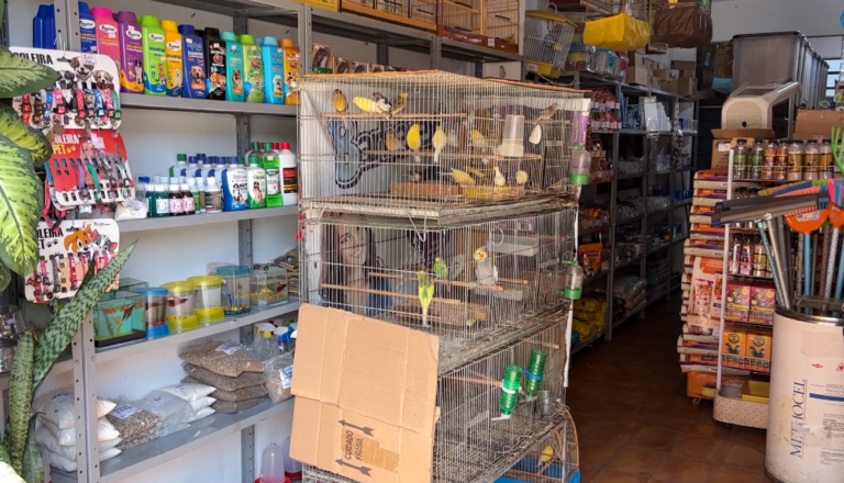 Operação contra o tráfico de animais prende suspeito em Indaiatuba; multas passam de R$600 mil