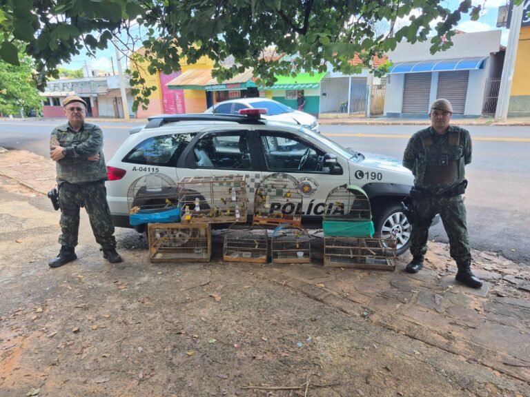 Polícia apreende 66 aves e desarticula venda ilegal na internet