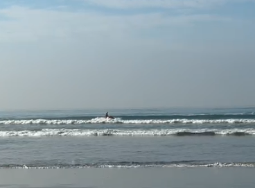 buscas afogamento pg