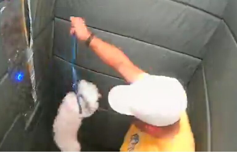 GCM aposentado flagrado espancando cachorro em presta depoimento e é indiciado por maus-tratos