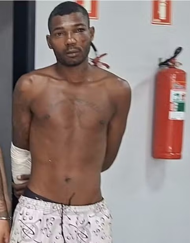 carlos cruz canal 5 webtv