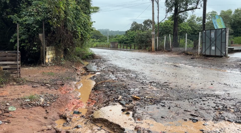 Idoso é encontrado morto em área de mata em Campinas