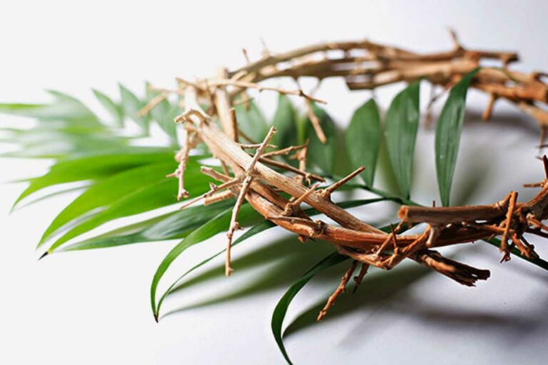 Domingo de Ramos marca início da Semana Santa e relembra entrada de Jesus em Jerusalém